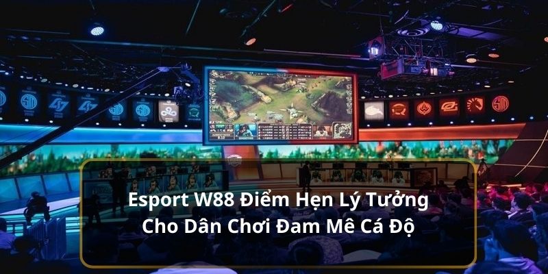 Esport W88 Điểm Hẹn Lý Tưởng Cho Dân Chơi Đam Mê Cá Độ